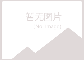 华池县忆山能源有限公司